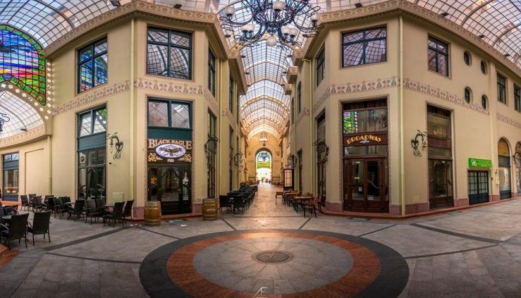 adam-freundlich-960x550