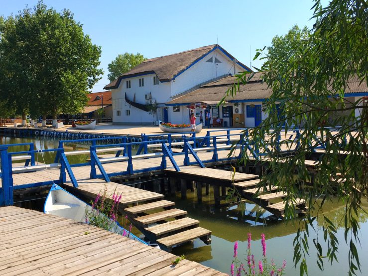 Photo-10-09-16-11-57-08-1-1920x1440