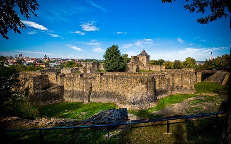 Cetate Scaun Suceava